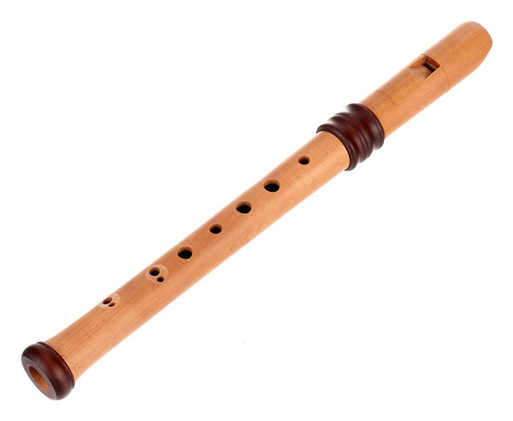 4119 Adris Dream Recorder Mollenhauer
