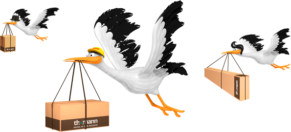 birds